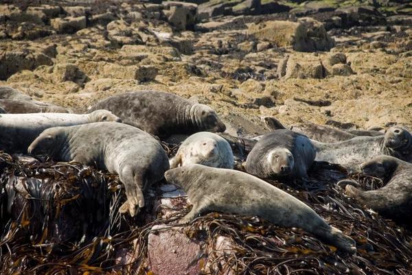 do economic growth and wellbeing sit well together ? 