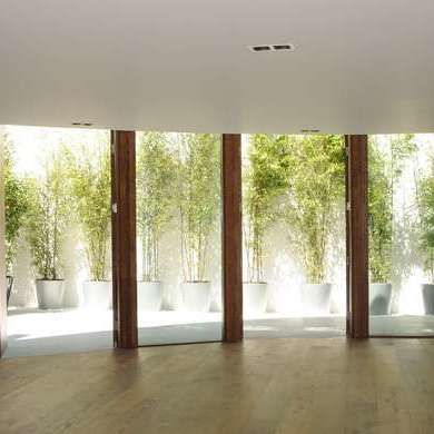 Queen Ann Street, Marylebone