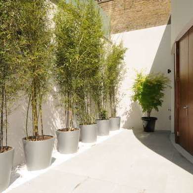 Queen Ann Street, Marylebone