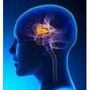 Mental Health Awareness