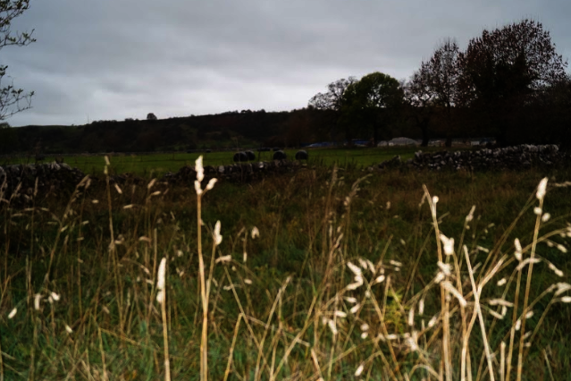 Land to the rear of Charles Cotton Hotel, Hartington