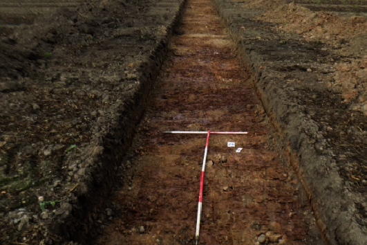 Brinklow Quarry, Warwickshire