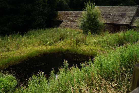 Dains Mill, Staffordshire Moorlands