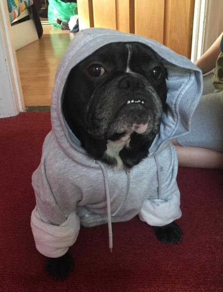 How do we consistently attract the top elite Escort talent in the Region?