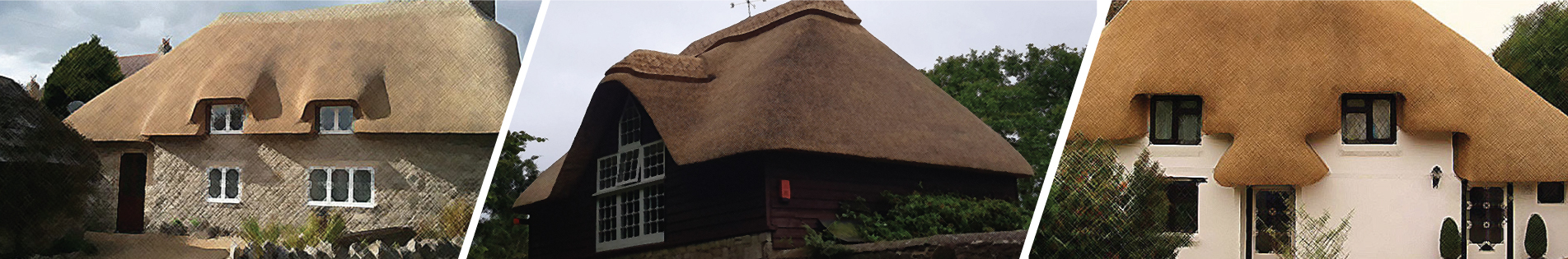 Thatcher in Dorset, Master Thatcher in Dorset, Thatch repairs Dorset