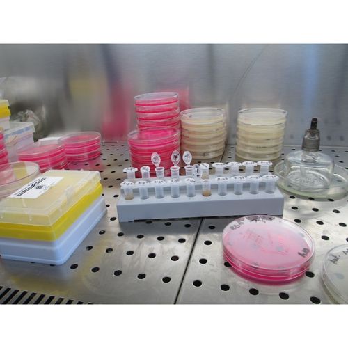 Legionella Awareness