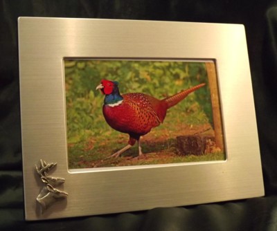 Picture/ Photo Frames