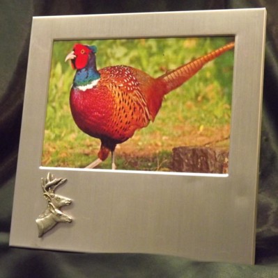 Picture/ Photo Frames