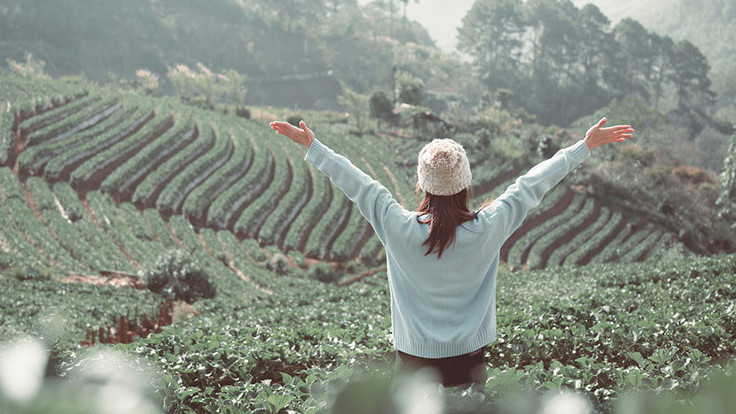 Private Healthcare Insurance, PMI Broker, Health Insurance