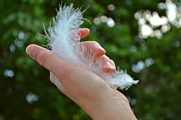 White Feather Services: A Story Behind the Name