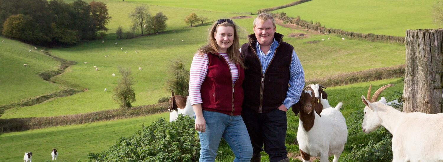 Hereford Meat Box, Hereford Lamb Box, Lamb Box