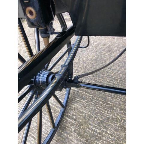 Skeleton Gig    (777206)