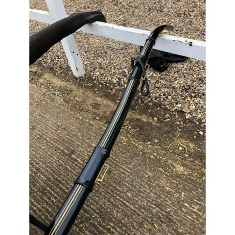 Skeleton Gig    (777206)