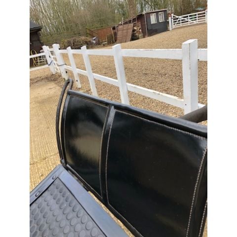 Skeleton Gig    (777206)