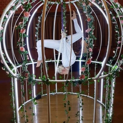 Giant Bird Cage Aerialist Hoop Prop UK Garden Entertainment
