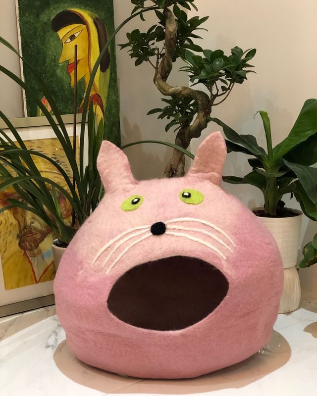 Pink Cat Bed