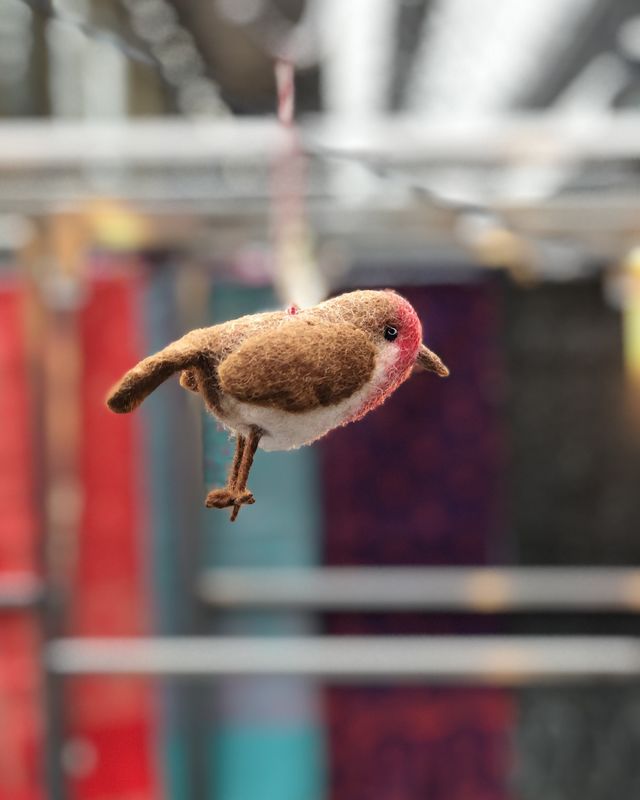 Robin Christmas decoration