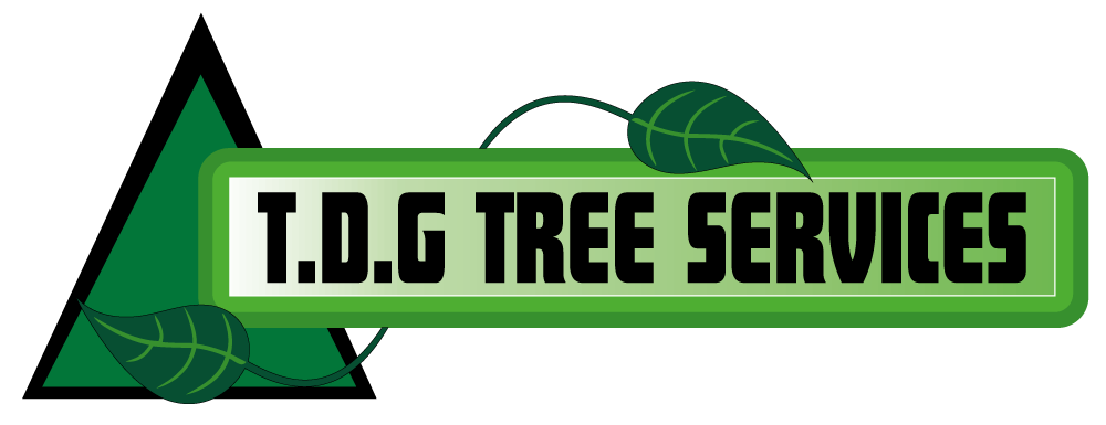 TDG Tree Services | Tree Services Isle of Wight | Arborist Isle of Wight | Tree Surgery Isle of Wight