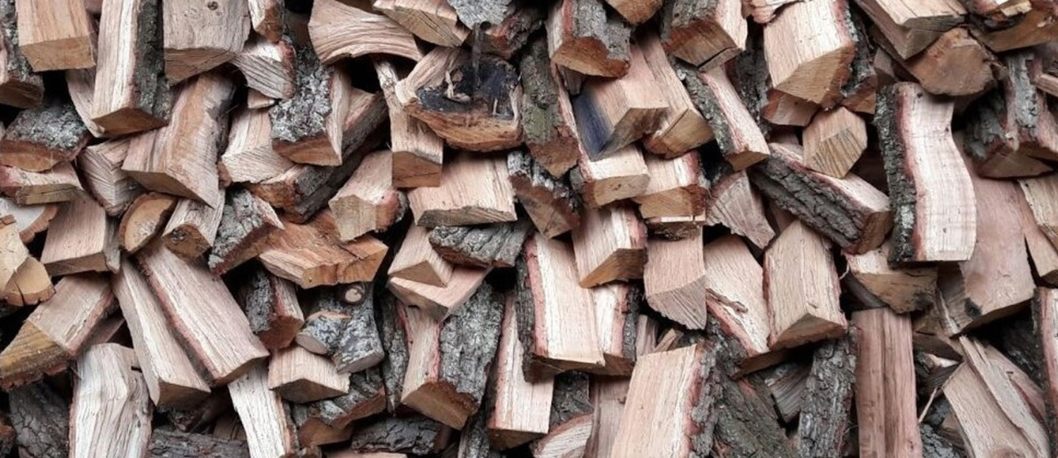 Tree Surgery Isle of Wight