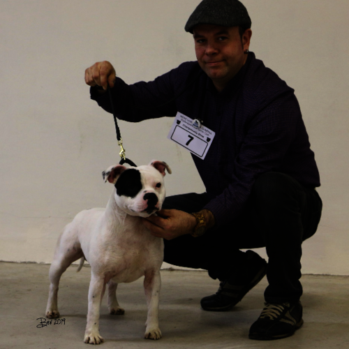 Morecambe Bay & Cumbria SBTC - 18th Jan 2019 - Clare Robinson-Cox