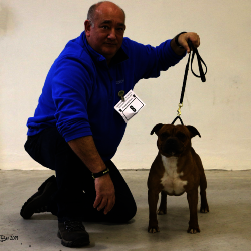 Morecambe Bay & Cumbria SBTC - 18th Jan 2019 - Clare Robinson-Cox