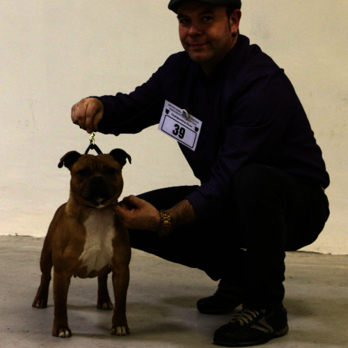 Morecambe Bay & Cumbria SBTC - 18th Jan 2019 - Clare Robinson-Cox