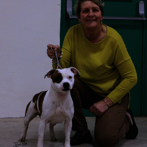 Morecambe Bay & Cumbria SBTC - 18th Jan 2019 - Clare Robinson-Cox