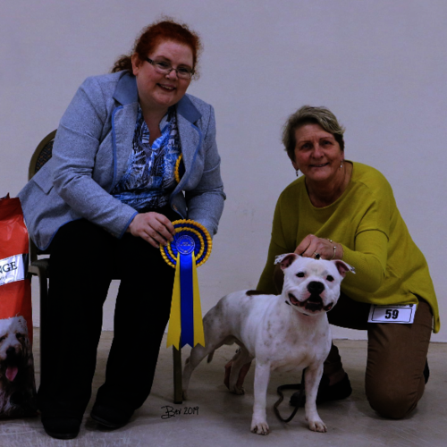 Morecambe Bay & Cumbria SBTC - 18th Jan 2019 - Clare Robinson-Cox