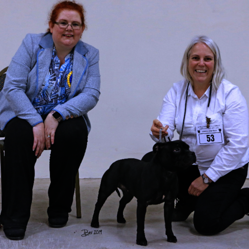 Morecambe Bay & Cumbria SBTC - 18th Jan 2019 - Clare Robinson-Cox