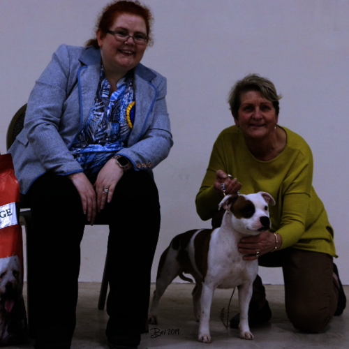 Morecambe Bay & Cumbria SBTC - 18th Jan 2019 - Clare Robinson-Cox