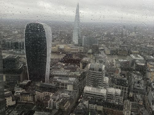 Shelter’s Vertical Rush