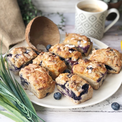 Blueberry Mini Loaves