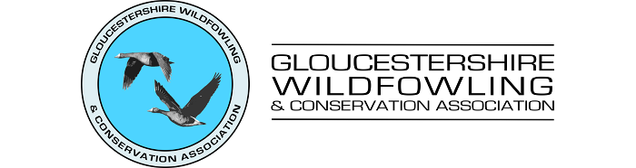 Gloucestershire Wildfowling and Conservation Association