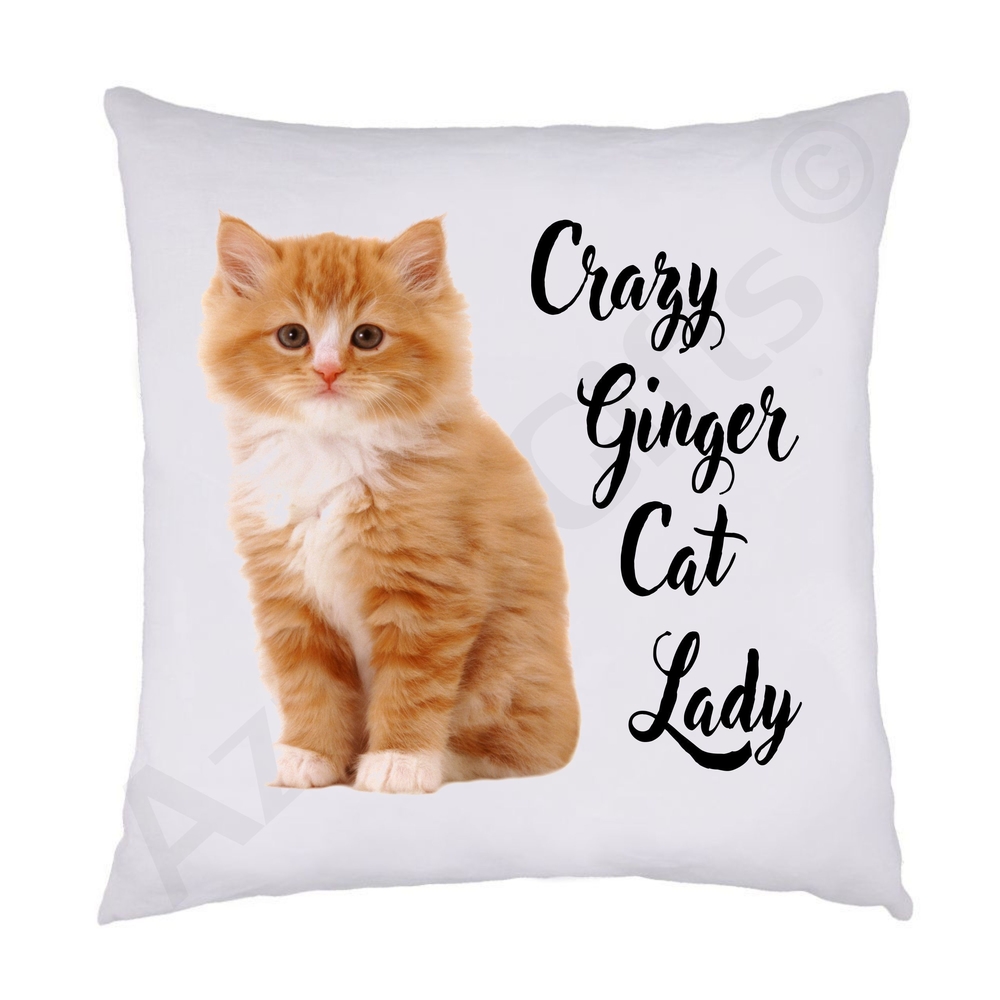 Crazy Ginger Cat Lady Cushion