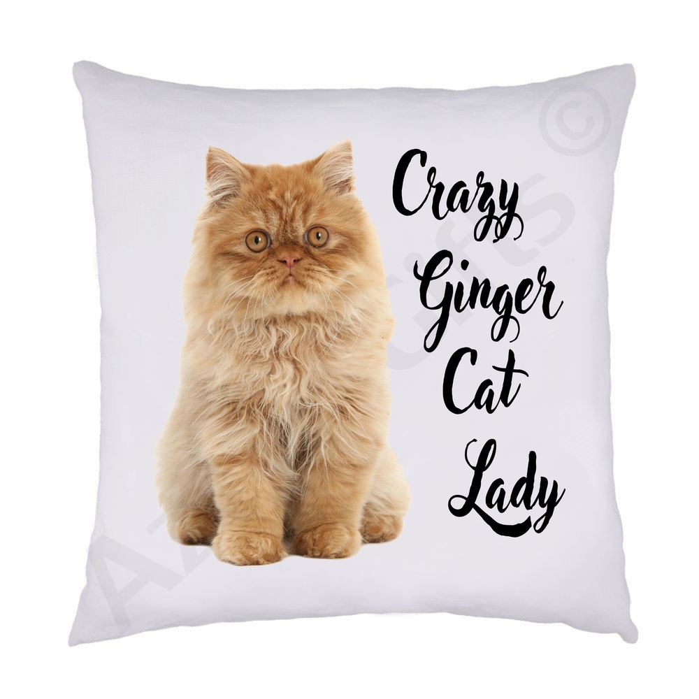 Crazy Ginger Cat Lady Cushion (Persian)