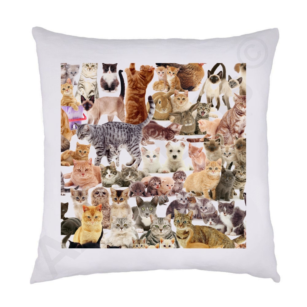 Mixed Cats Cushion