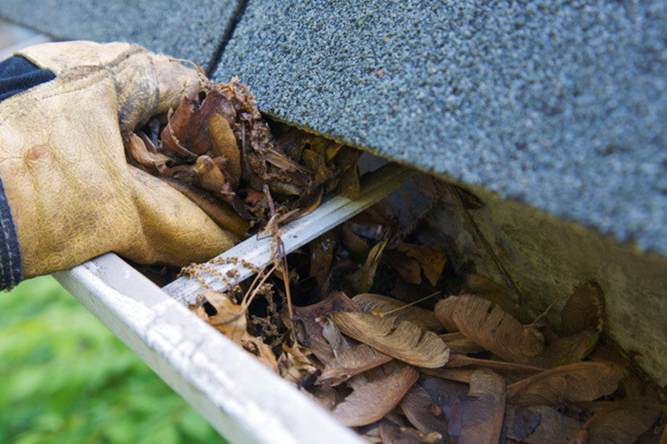 Gutter Cleaning