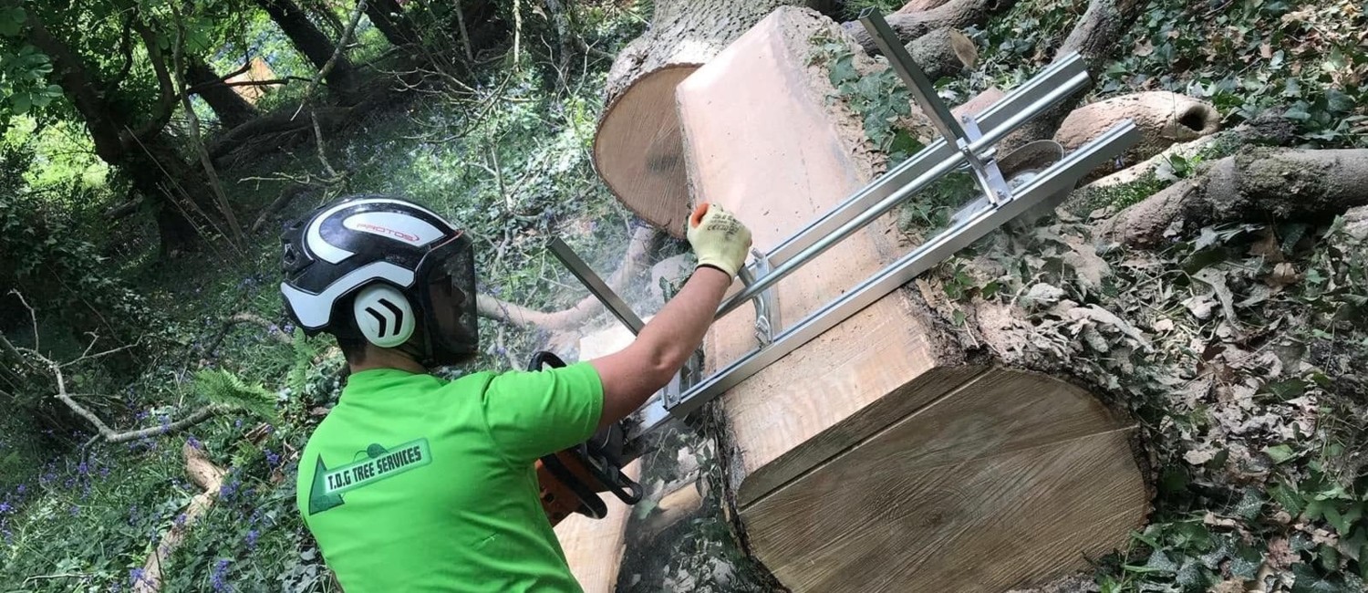 Tree Surgery Isle of Wight