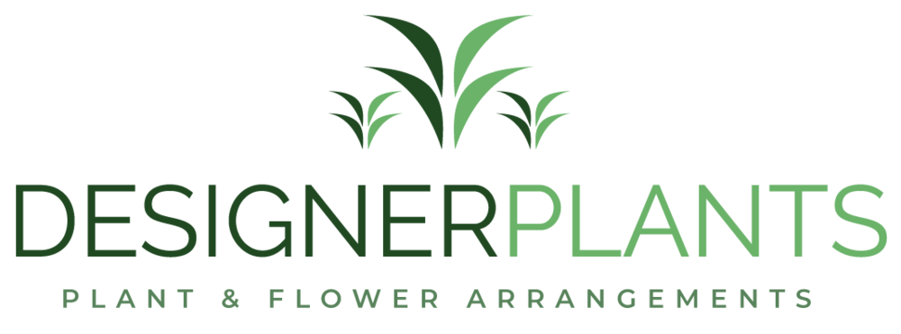 Designer Plants | Office Plants London | Office Flowers London | Flowers London