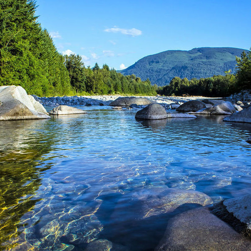 Police Complaint Procedure