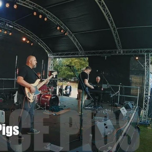 SPACE PIGS (70s/80s covers band)