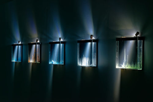 Hicham Berrada: Dreamscapes at the Hayward Gallery Heni Project Space.