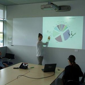 3M™ Whiteboard Film PWF-500