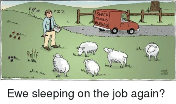 2019 Agricultural Census