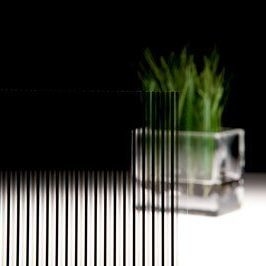 3M™ Fasara - SH2 BK ST - Shutie Black