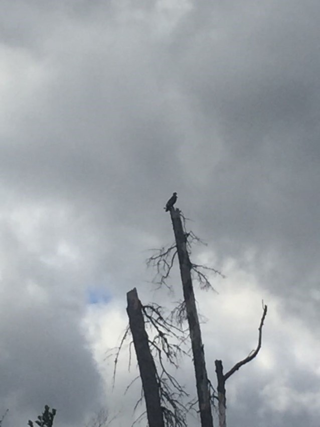 18 Days on the Bloodvein River