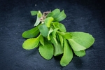 Why Stevia is a Great Sugar Substitute