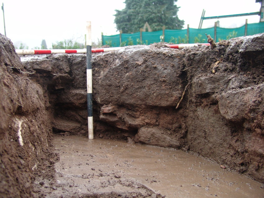 Archaeological Watching Brief