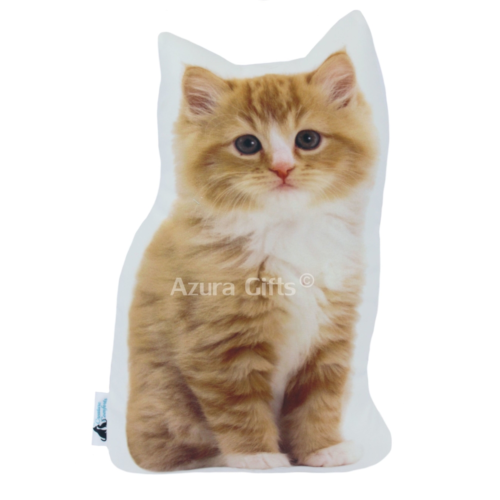 Ginger Long Hair Shaped Cat Cushion