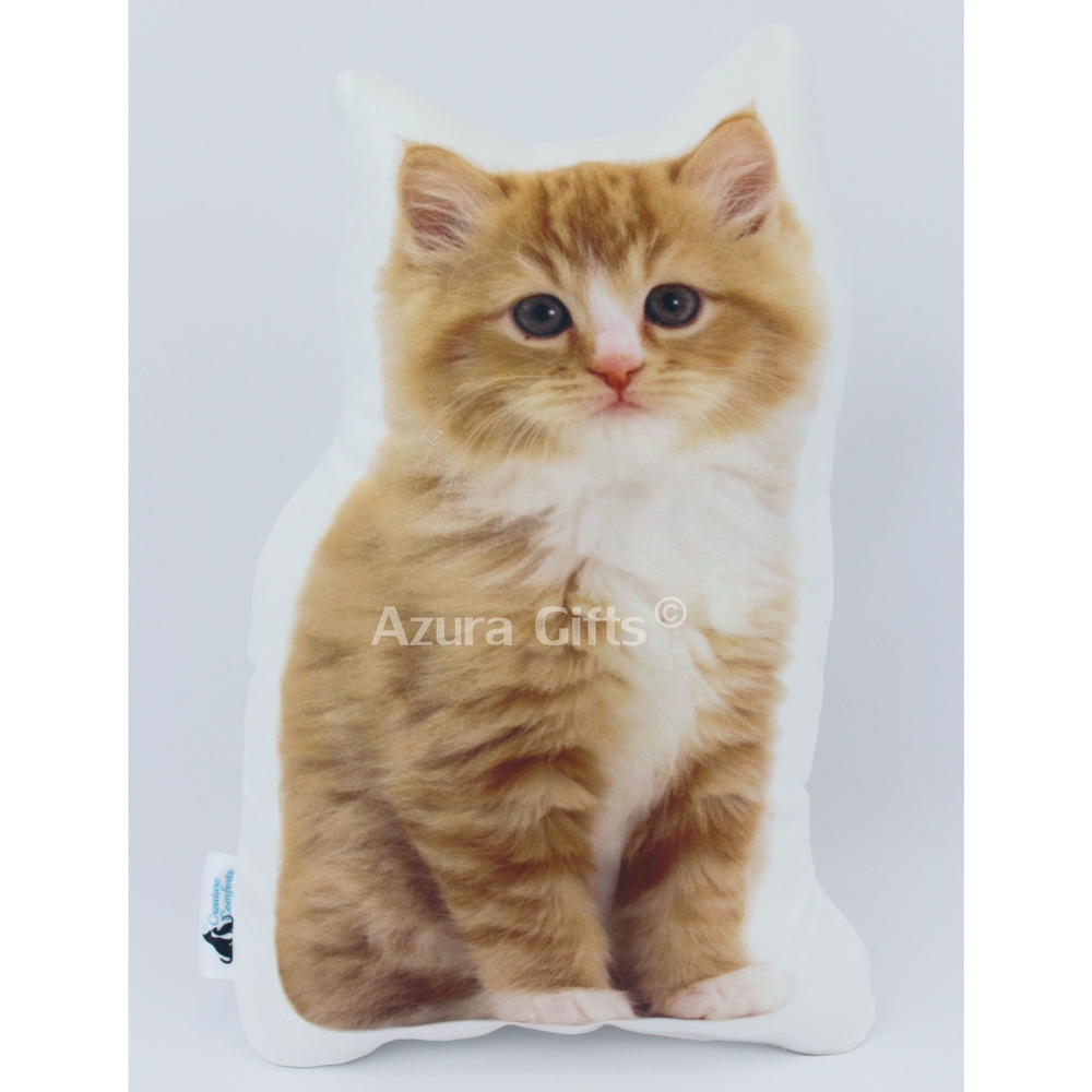 Ginger Long Hair Shaped Cat Cushion